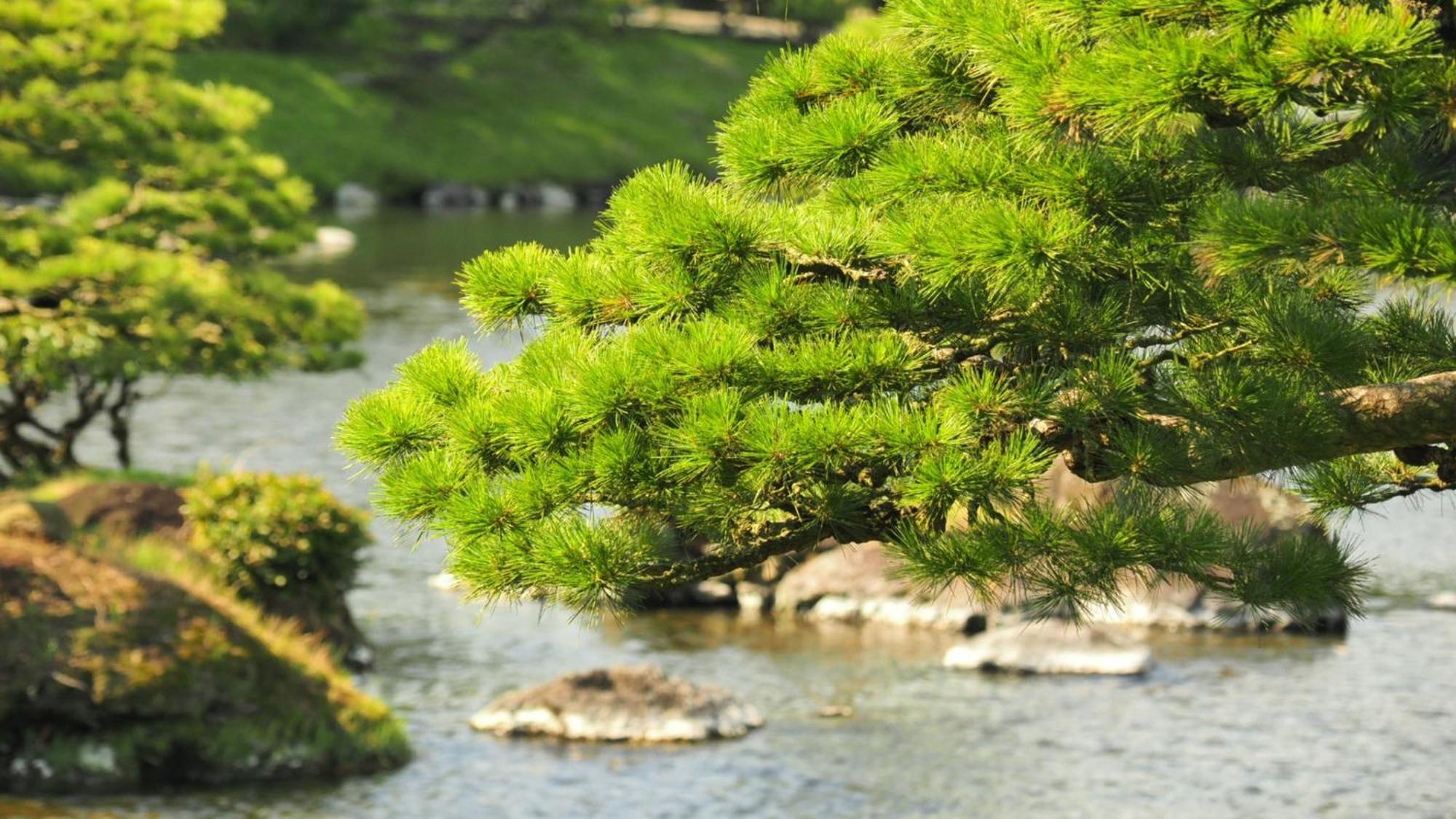 Toyoko Inn Kumamoto Shin-Shigai Bagian luar foto